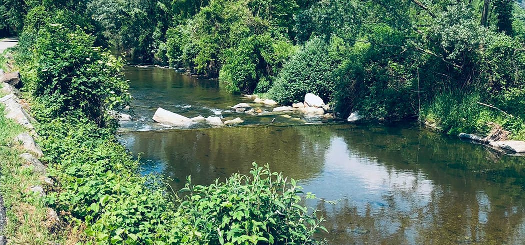 Torrente Margorabbia