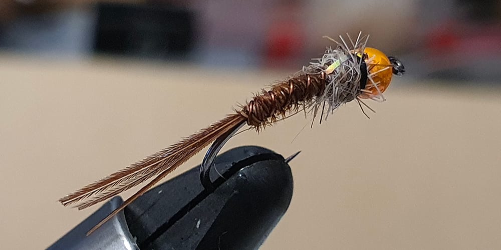 pheasant tail nymph testa arancio