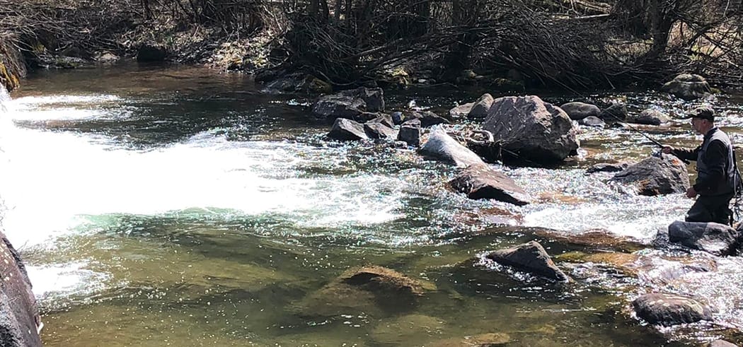 Torrente Travignolo