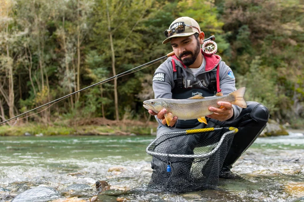 Mr Perch pesca a mosca